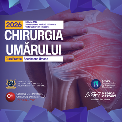 Curs ICSM 2026